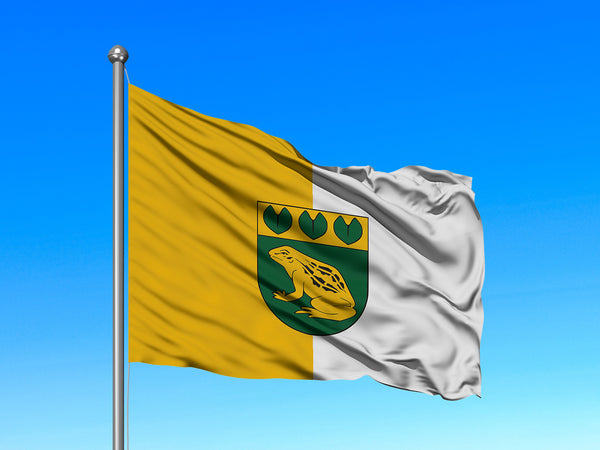Baložu pilsētas karogs