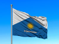 Kocēnu novada karogs