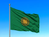 Priekuļu novada karogs