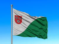 Raunas novada karogs