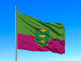 Ropažu novada karogs